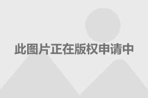  亚特兰大青春风暴，青年军崛起明显  